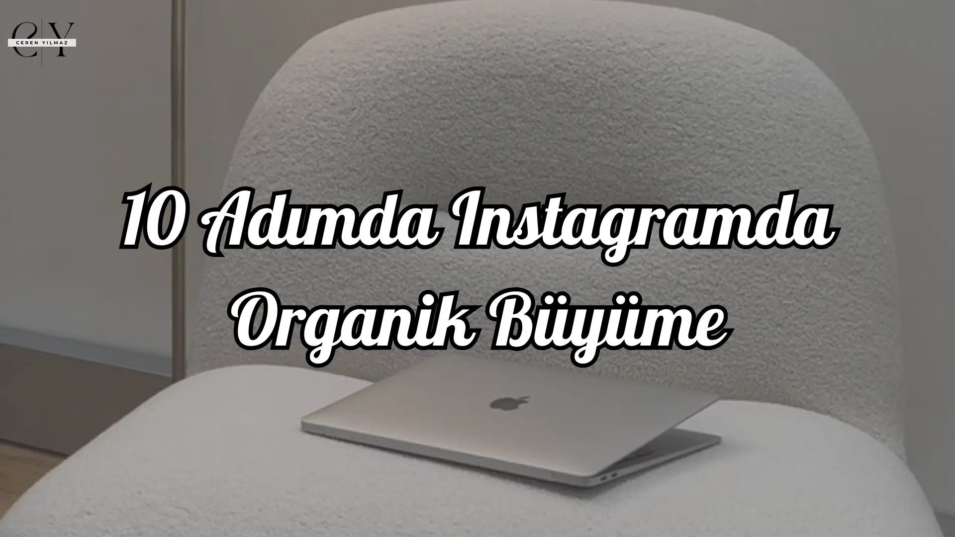 instagramda organik büyüme